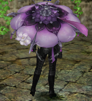 Fancy Umbrella